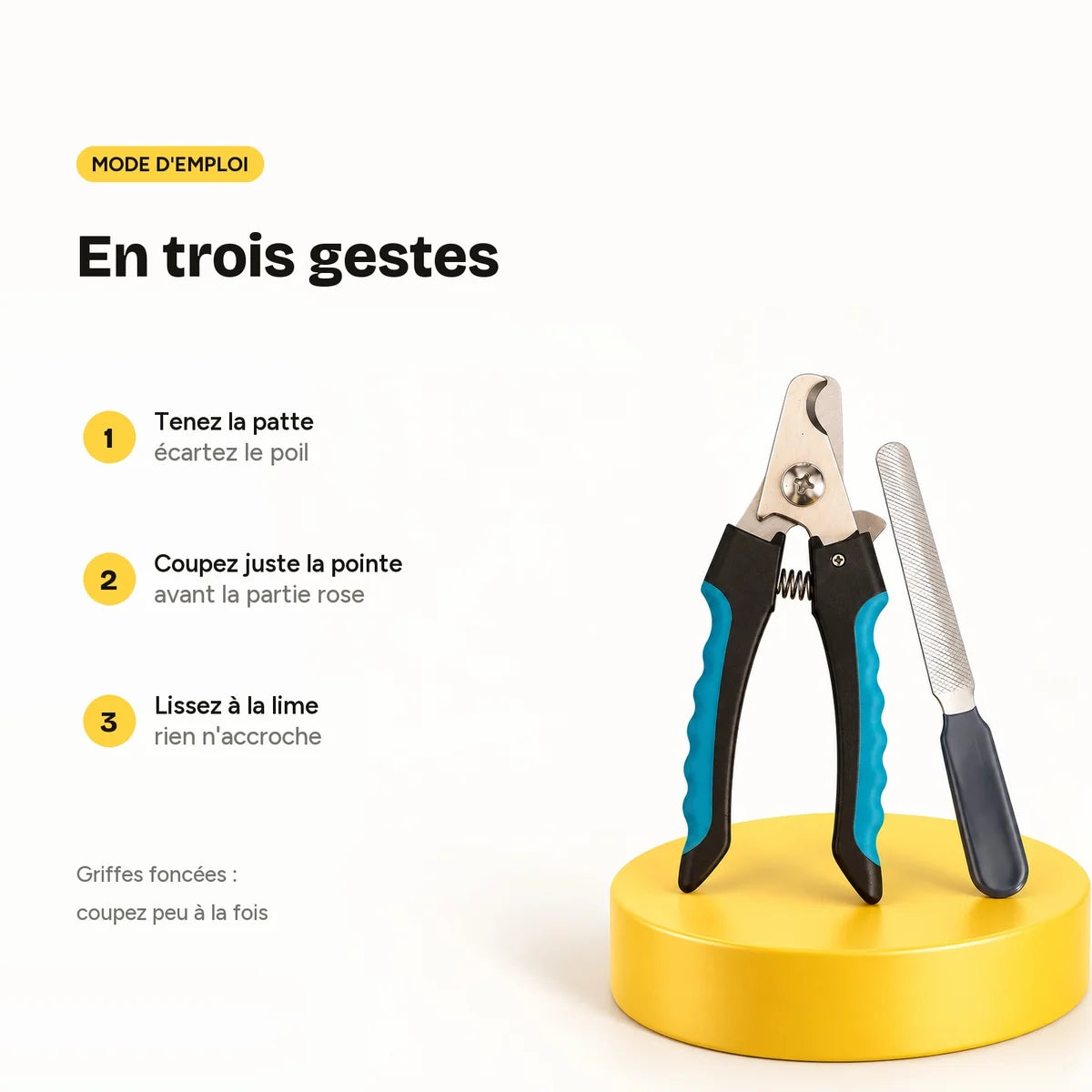 Mode d'emploi en trois gestes : tenir la patte, couper la pointe, lisser à la lime