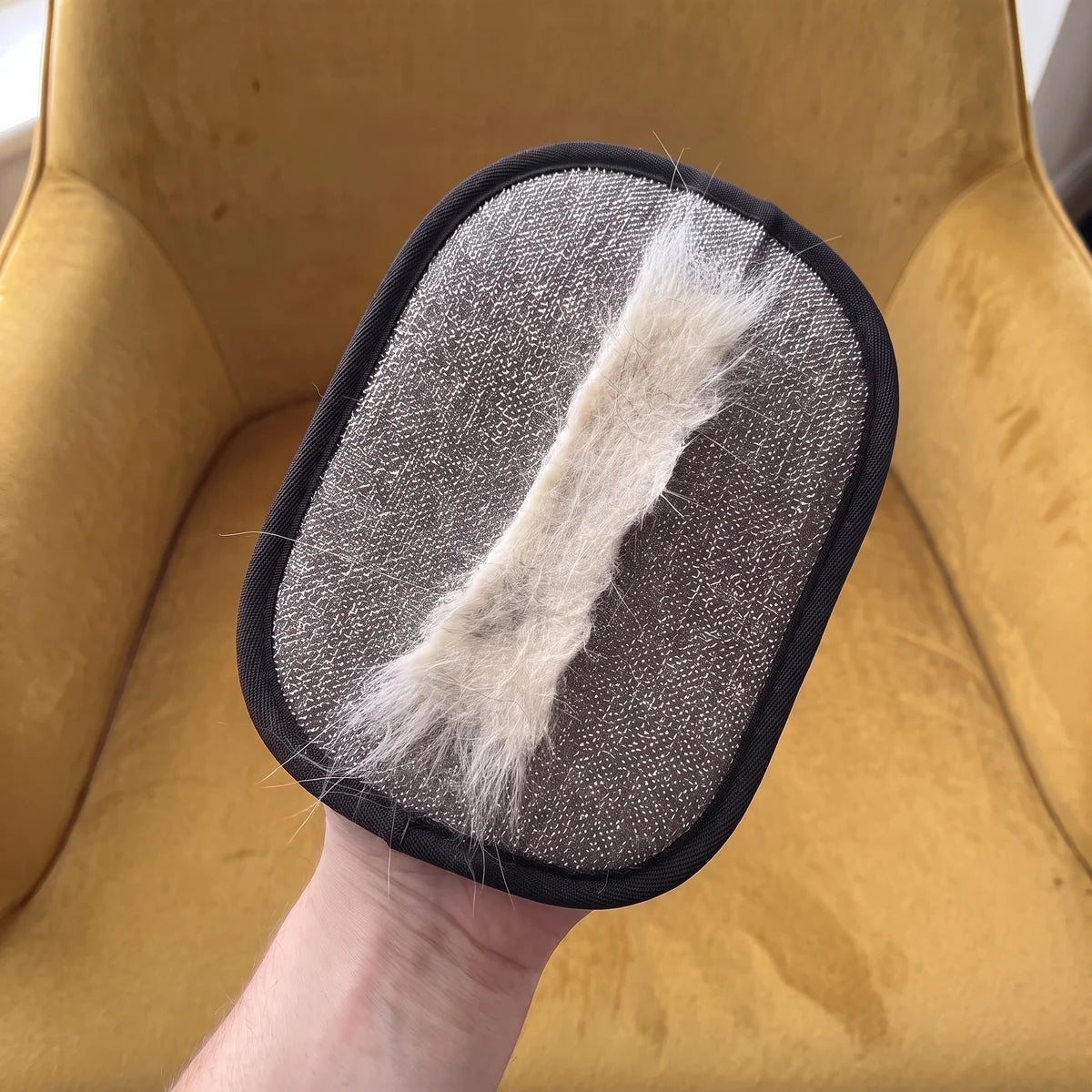The grey face of the glove holding a strip of hair, on a mustard armchair