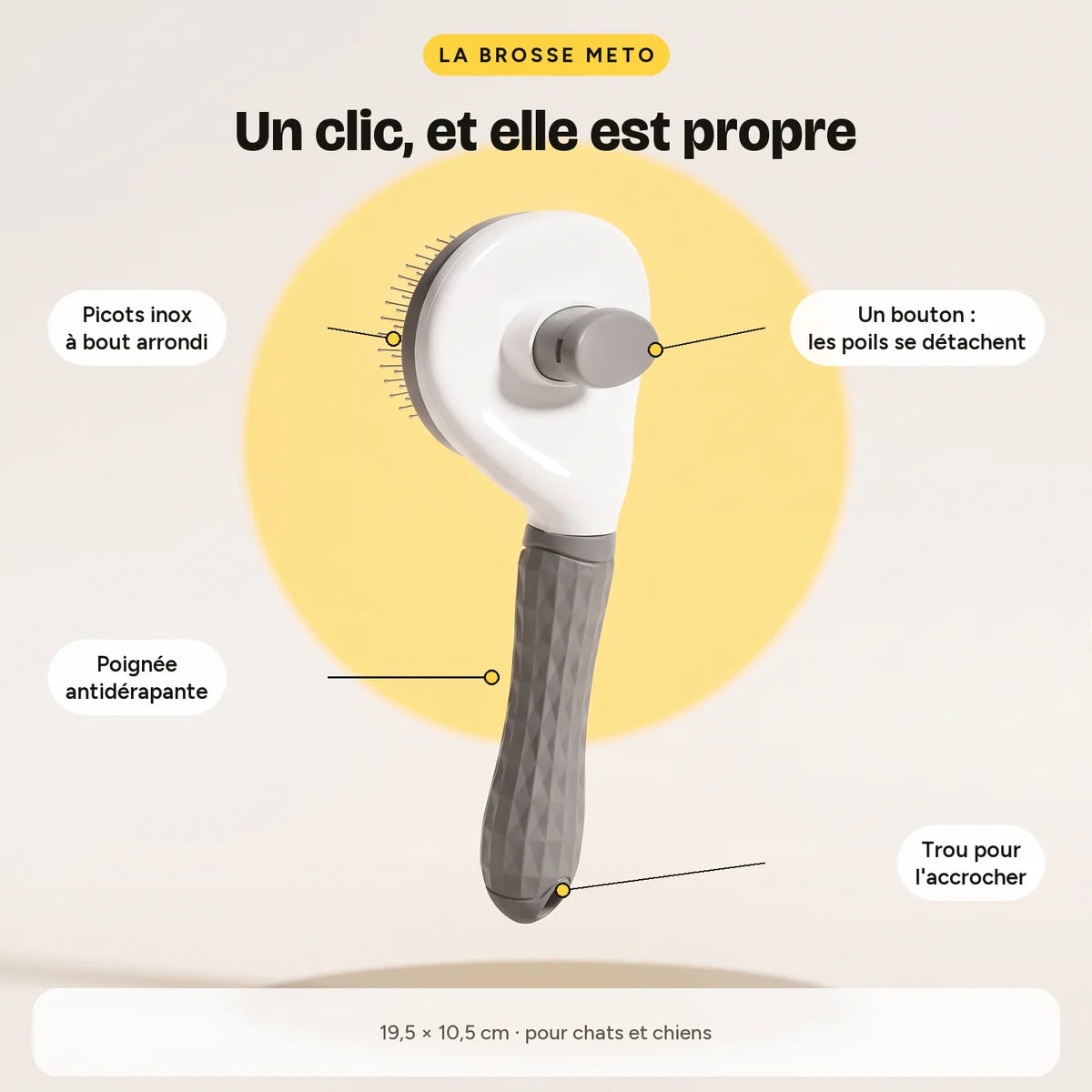 Les parties de la brosse : picots inox, bouton, poignée antidérapante