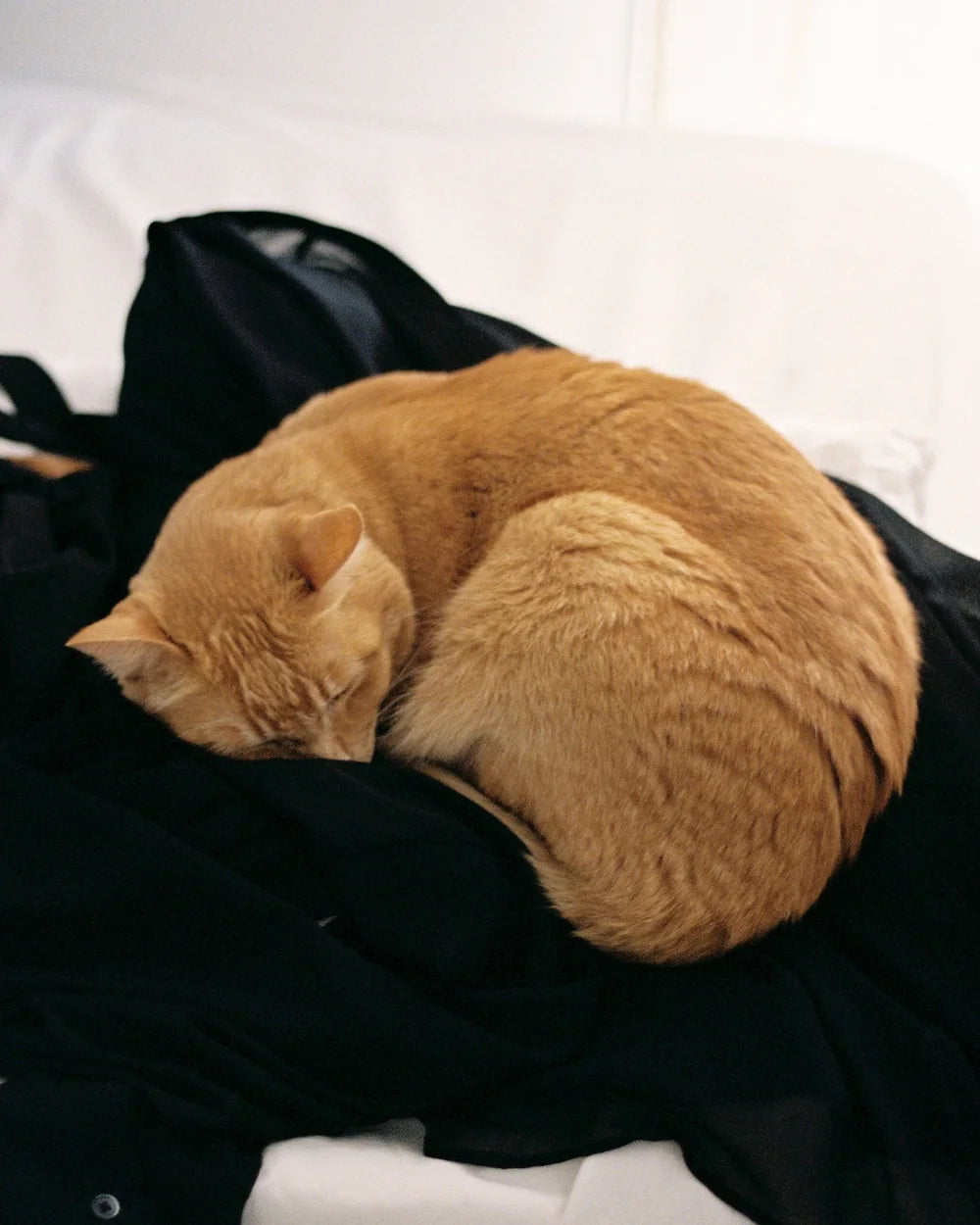 The glove on a dark coat